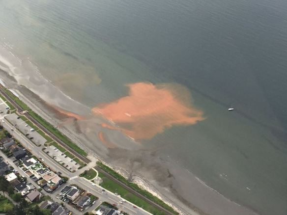 Orange-spill-White-Rock-Beach-Credit-Dahn-Powers