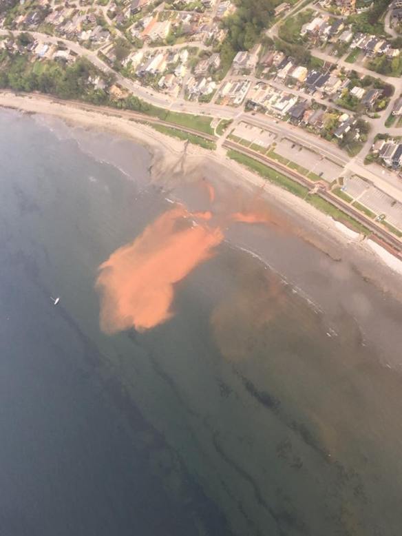 Orange Waters in White Rock - May 8th from Anderson Outflow